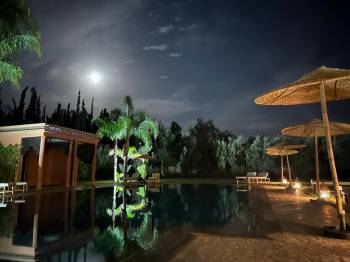 Queen Suite with Pool View17